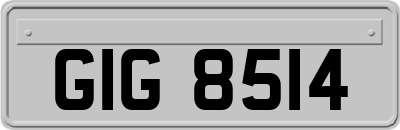 GIG8514