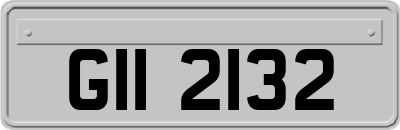 GII2132