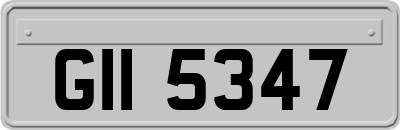 GII5347
