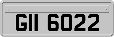 GII6022