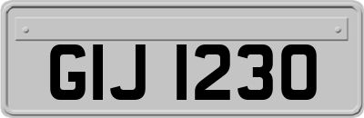 GIJ1230