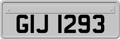 GIJ1293