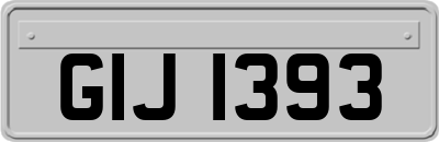 GIJ1393