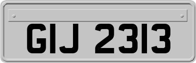 GIJ2313