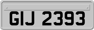 GIJ2393