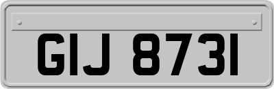 GIJ8731