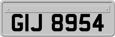 GIJ8954