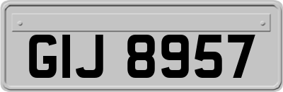 GIJ8957