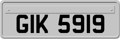 GIK5919