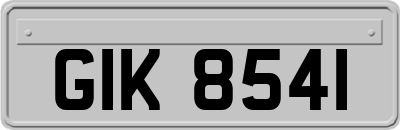 GIK8541