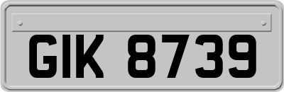 GIK8739