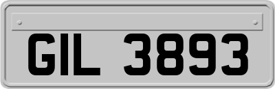 GIL3893