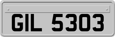 GIL5303