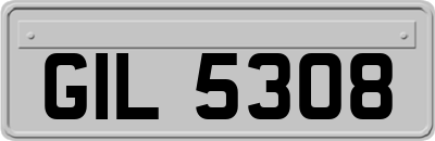 GIL5308