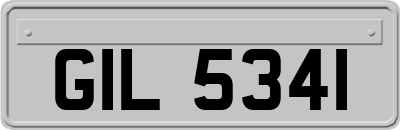 GIL5341