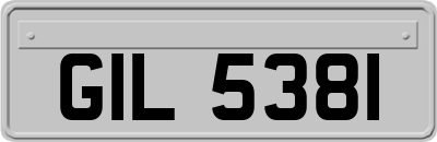 GIL5381