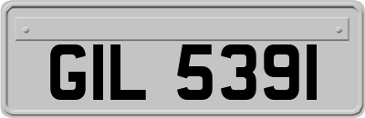 GIL5391