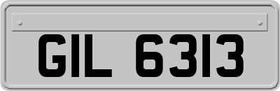 GIL6313