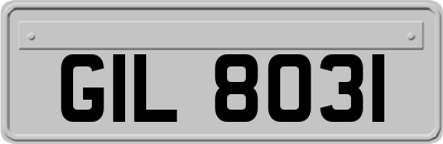 GIL8031