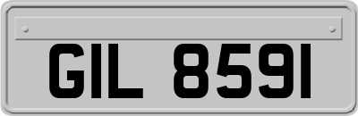 GIL8591