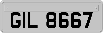 GIL8667