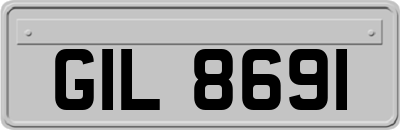 GIL8691