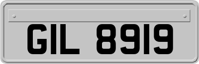 GIL8919