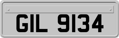 GIL9134