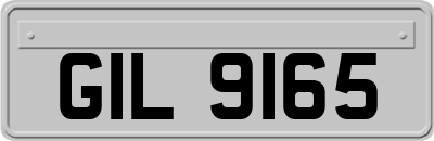 GIL9165