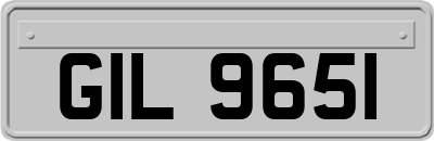 GIL9651