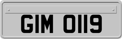 GIM0119