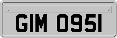 GIM0951