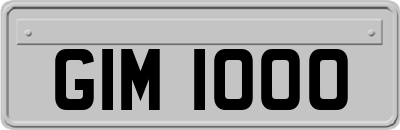 GIM1000