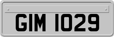 GIM1029