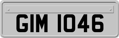 GIM1046