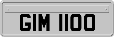 GIM1100