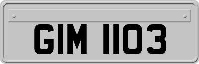 GIM1103