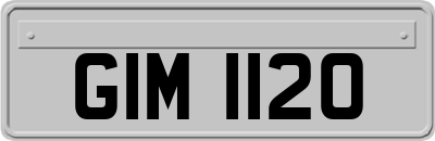 GIM1120