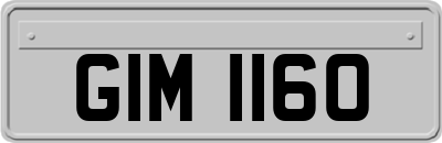GIM1160