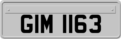 GIM1163