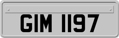 GIM1197