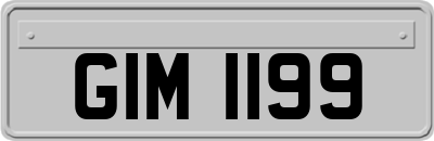 GIM1199