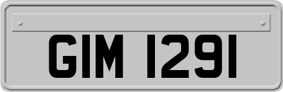 GIM1291