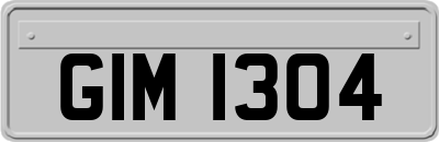 GIM1304