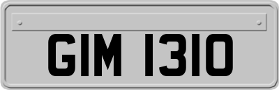 GIM1310