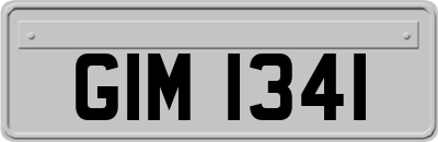 GIM1341