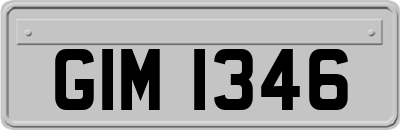 GIM1346