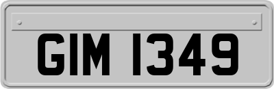 GIM1349