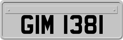GIM1381