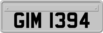 GIM1394